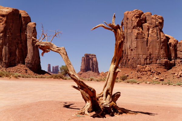 Picture of desert