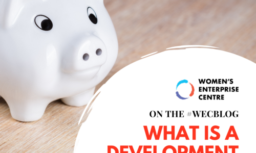 What is a Development Lender?